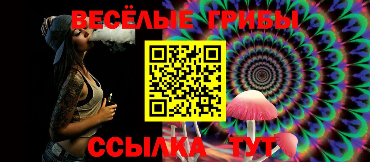 Похвистнево  Галлюциногенные грибы прущие грибы  Вход с VPN 
